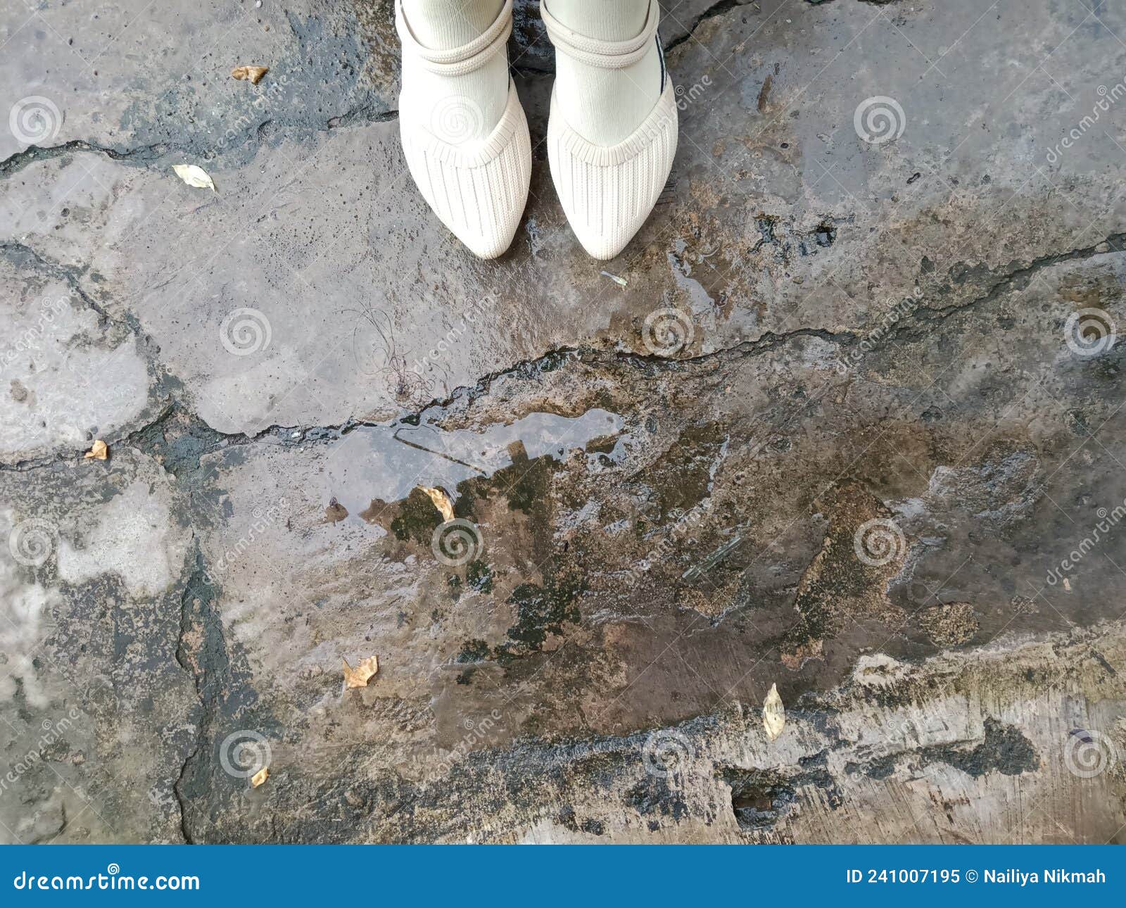 Wet street after the rain stock image. Image of street 241007195