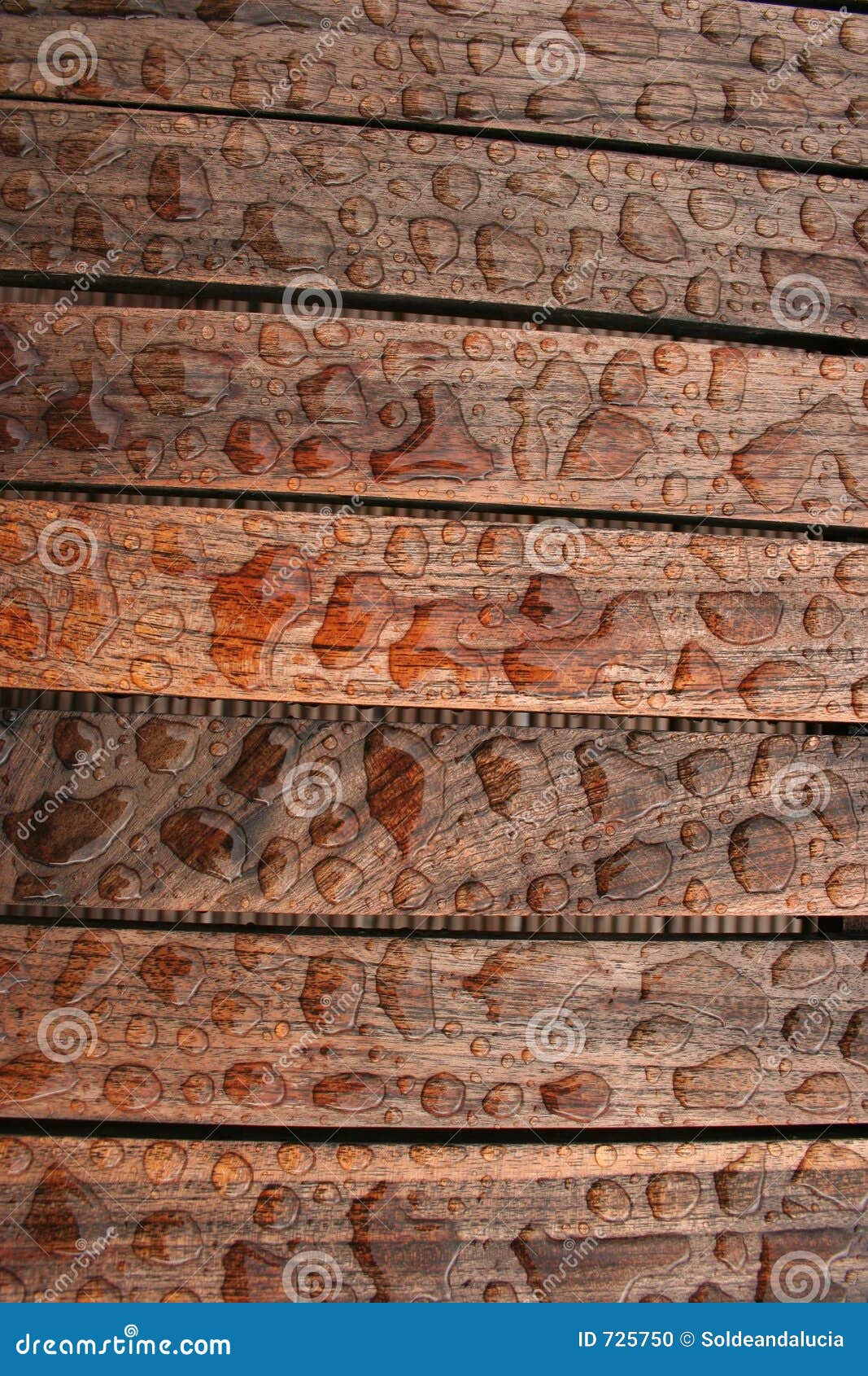wet wood