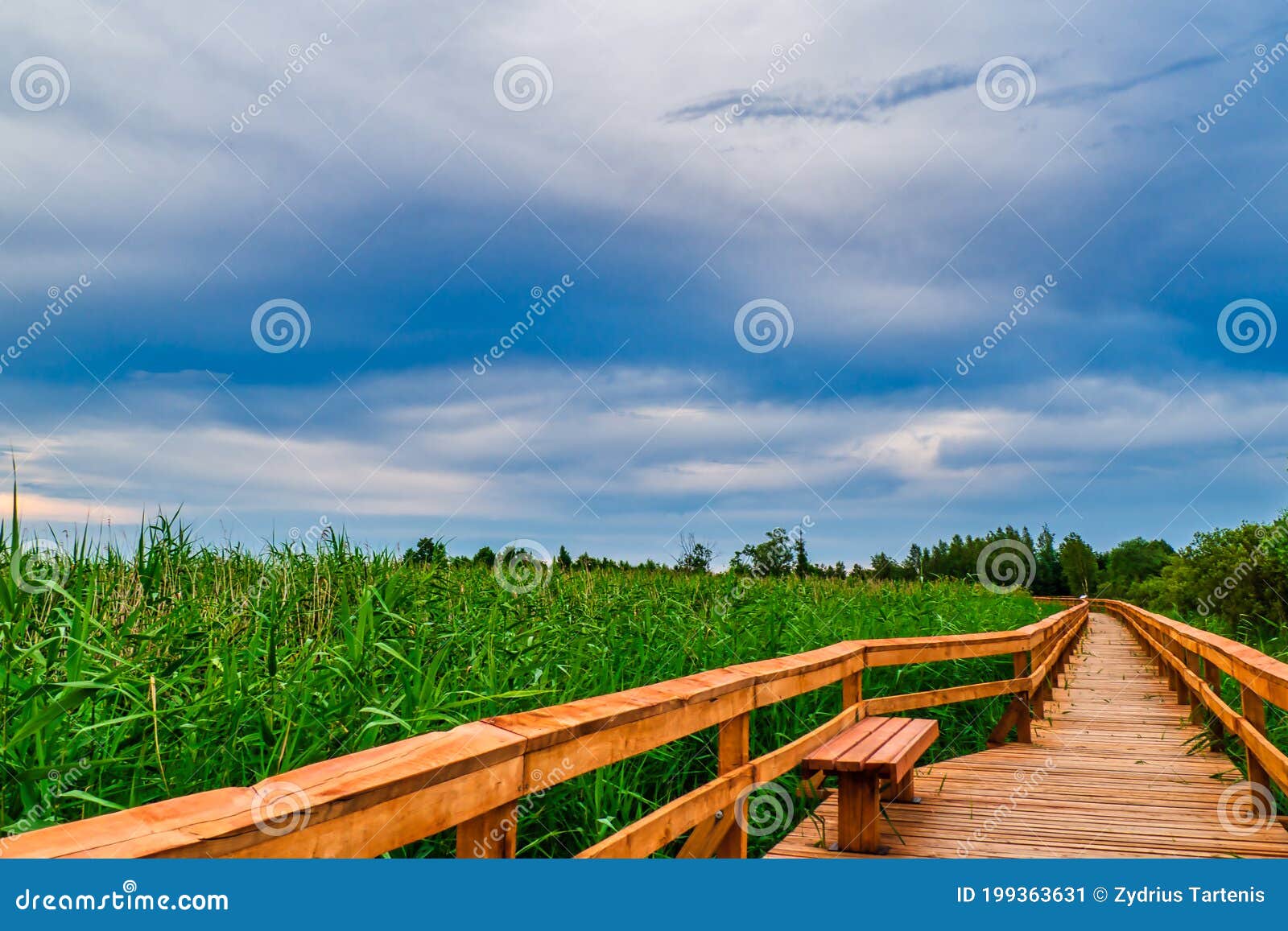 Wetland Park Wooden Walkway The Long Wooden Bridge Above The Water