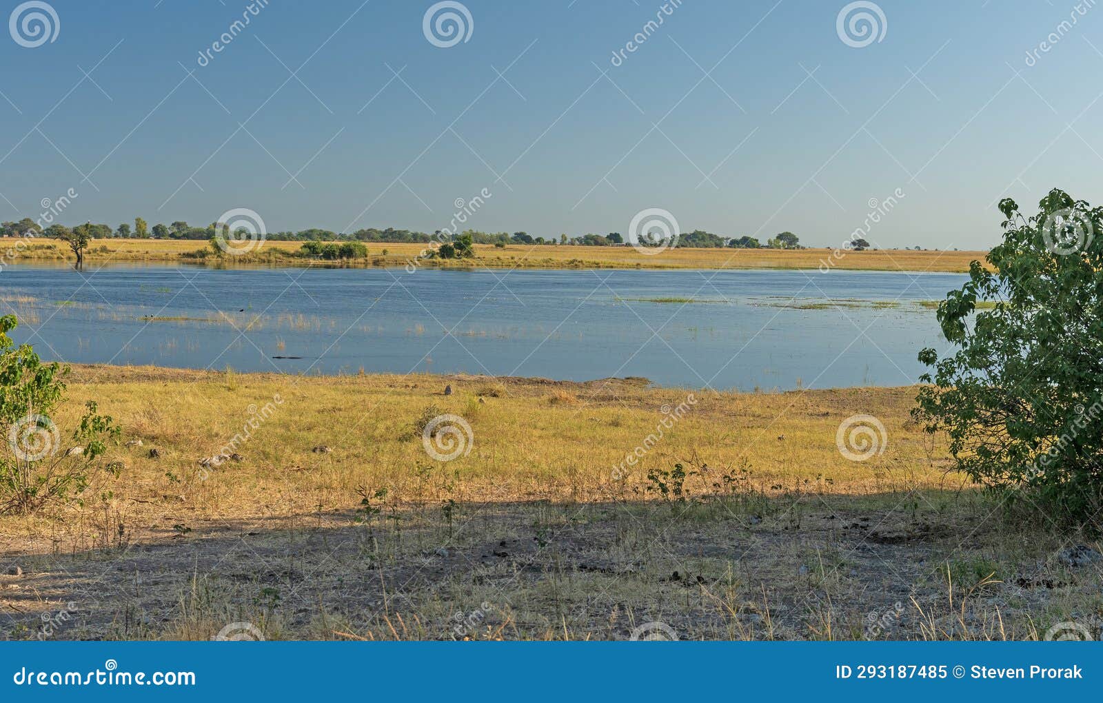 wetland pond in the african veldt