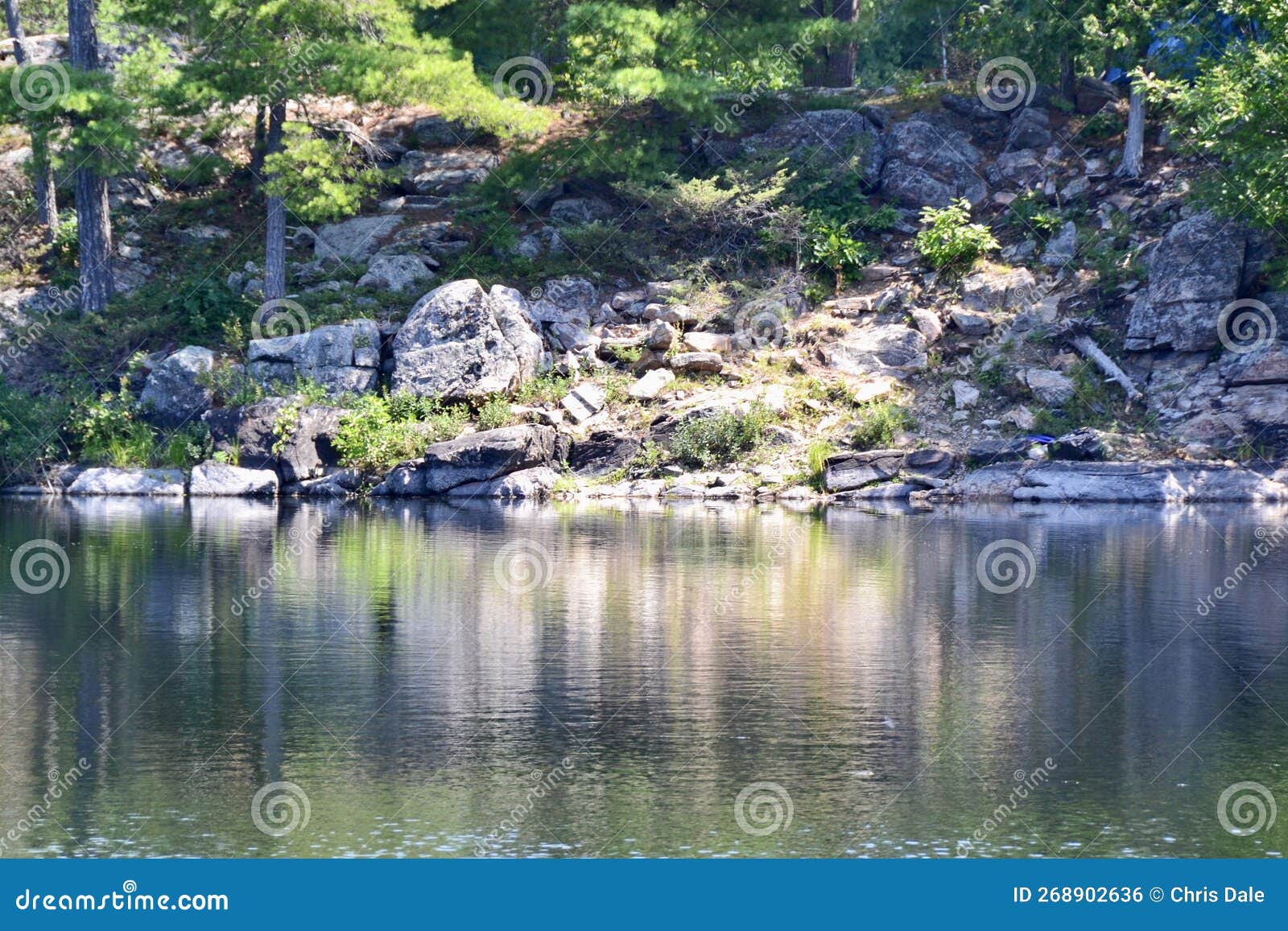 wetland scenery along hiking trail at mccrae lake