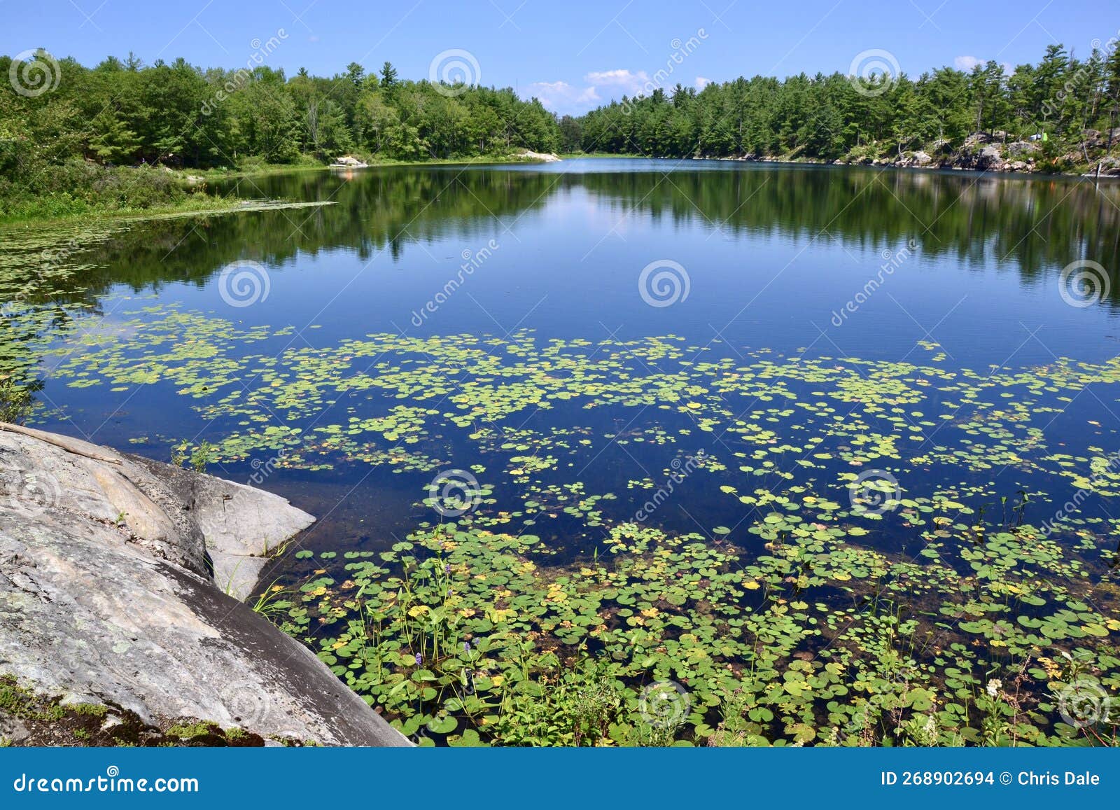 wetland scenery along hiking trail at mccrae lake