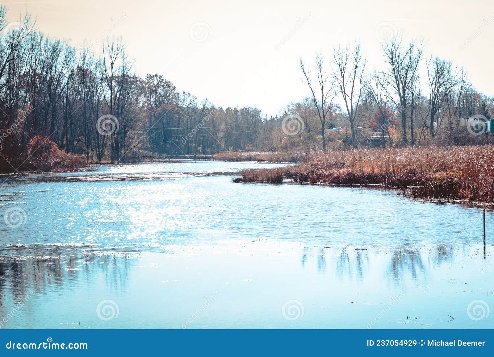 Wetlands in Grand Rapids during the Fall Stock Image Image of meijer