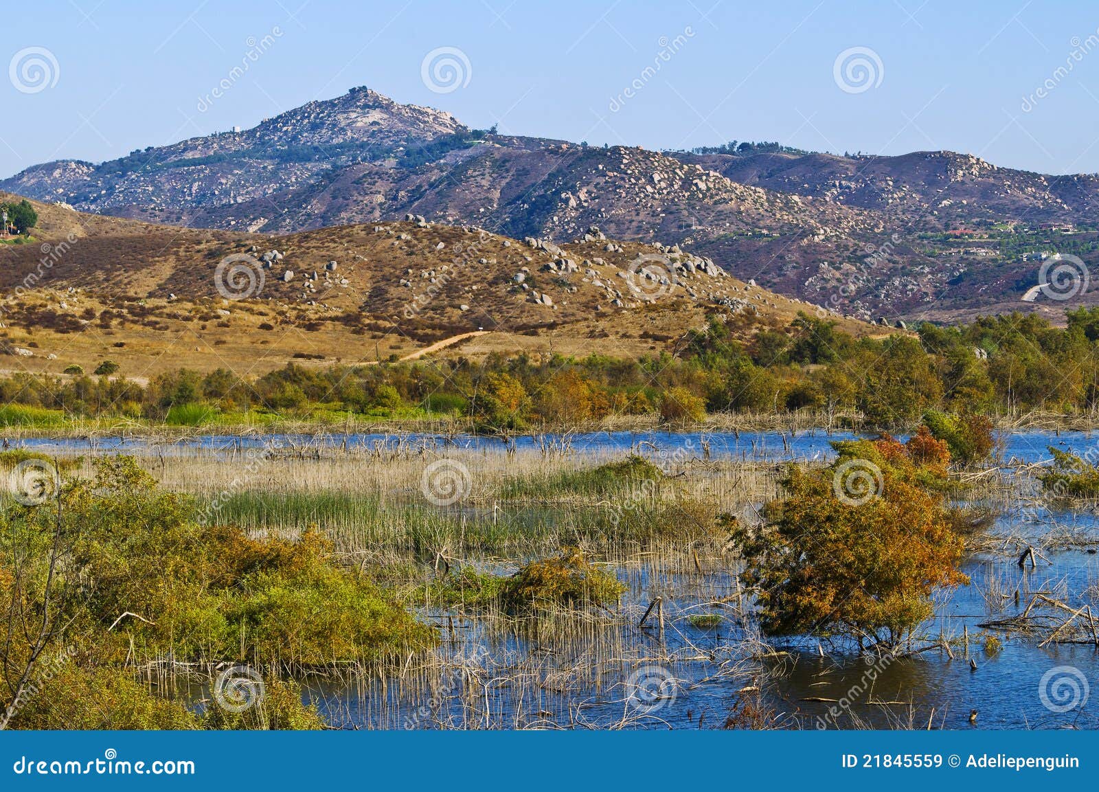 wetlands, san diego county, california