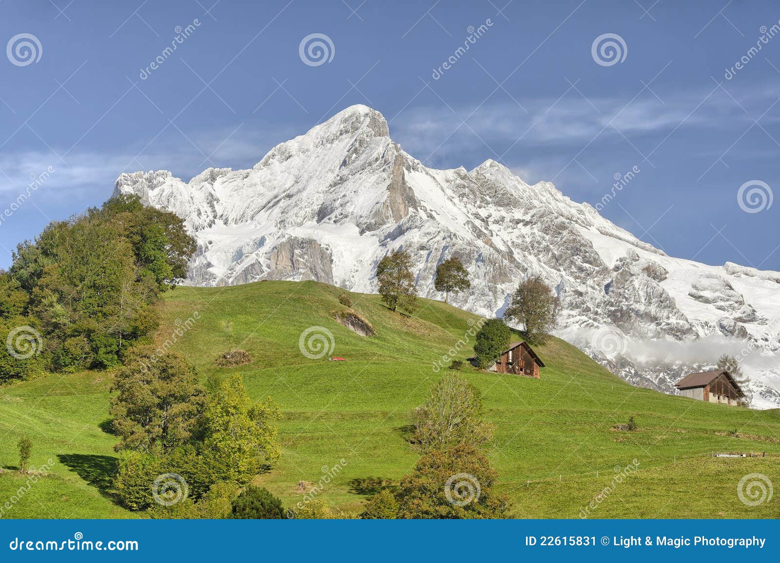 Wetterhorn e prato, Grindelwald, Svizzera.