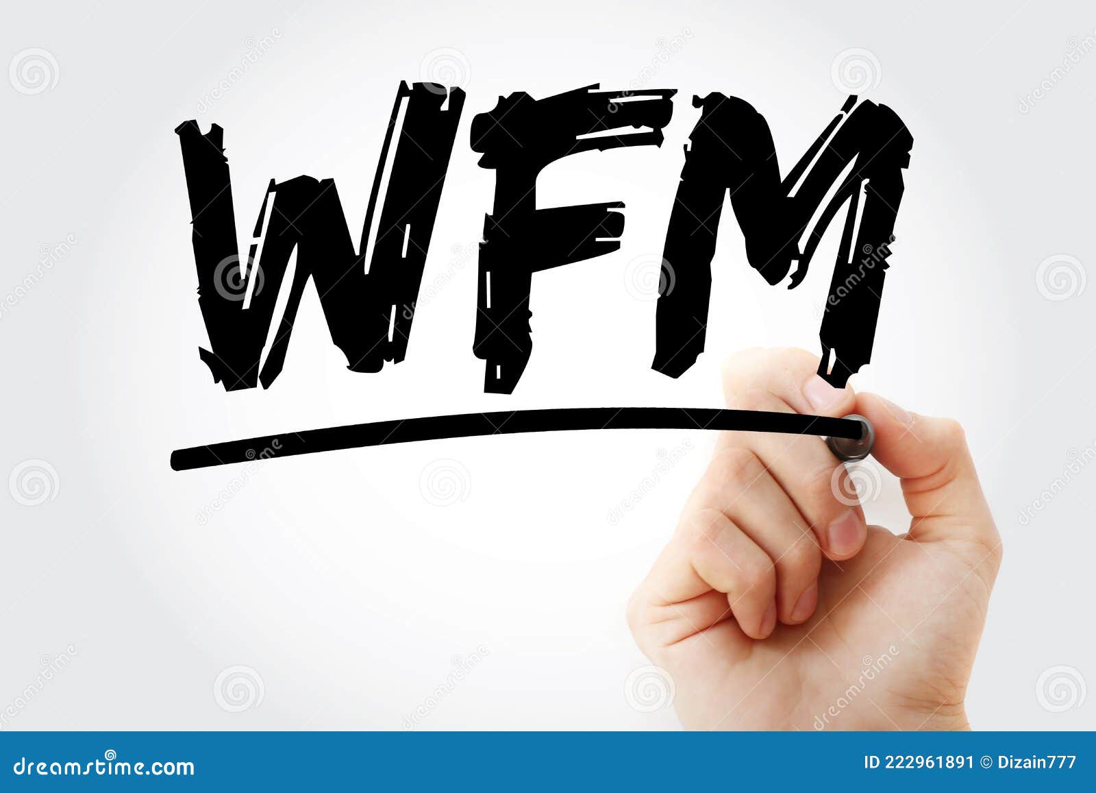 WFM - WorkForce Management Acronym with Marker, Business Concept