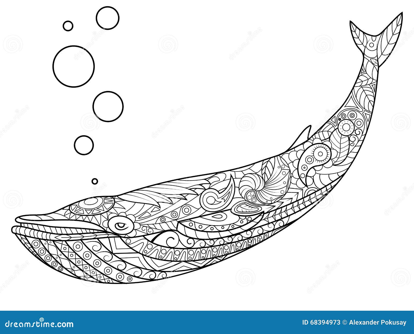 Whale coloring book for adults vector