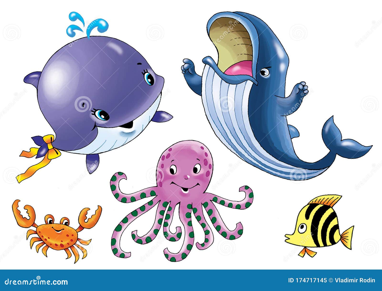 Whale Dolphin Sea Lion Inhabitants of the Sea Drawing Animal World Humor Stock Illustration - Illustration of dolphin, octopus: 174717145 Whale Dolphin Sea Lion Inhabitants of the Sea Drawing Animal World Humor Stock Illustration - Illustration of dolphin, octopus: 174717145
