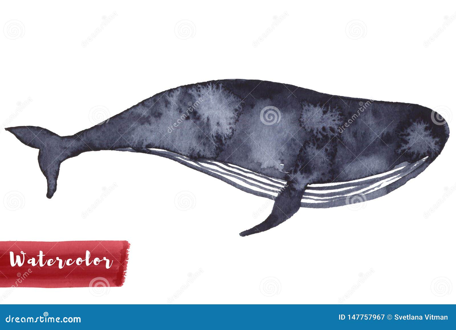 Whale in Indigo Color Painting. Watercolor Art Drawing. Sea Fish ...