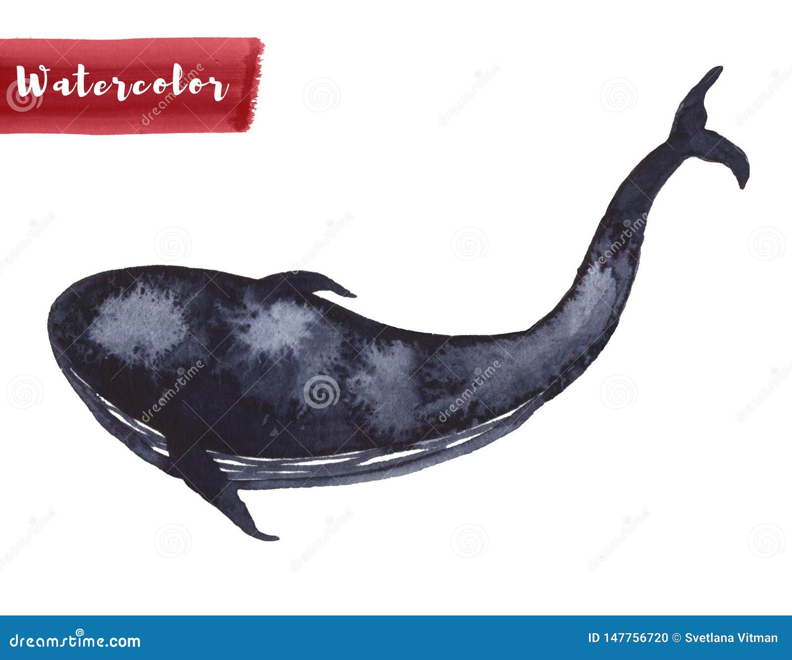 Whale in Indigo Color Painting. Watercolor Art Drawing. Sea Fish Blue Colour. Ocean Animal Stock Illustration - Illustration of doodle, drawing: 147756720 Whale in Indigo Color Painting. Watercolor Art Drawing. Sea Fish Blue Colour. Ocean Animal Stock Illustration - Illustration of doodle, drawing: 147756720