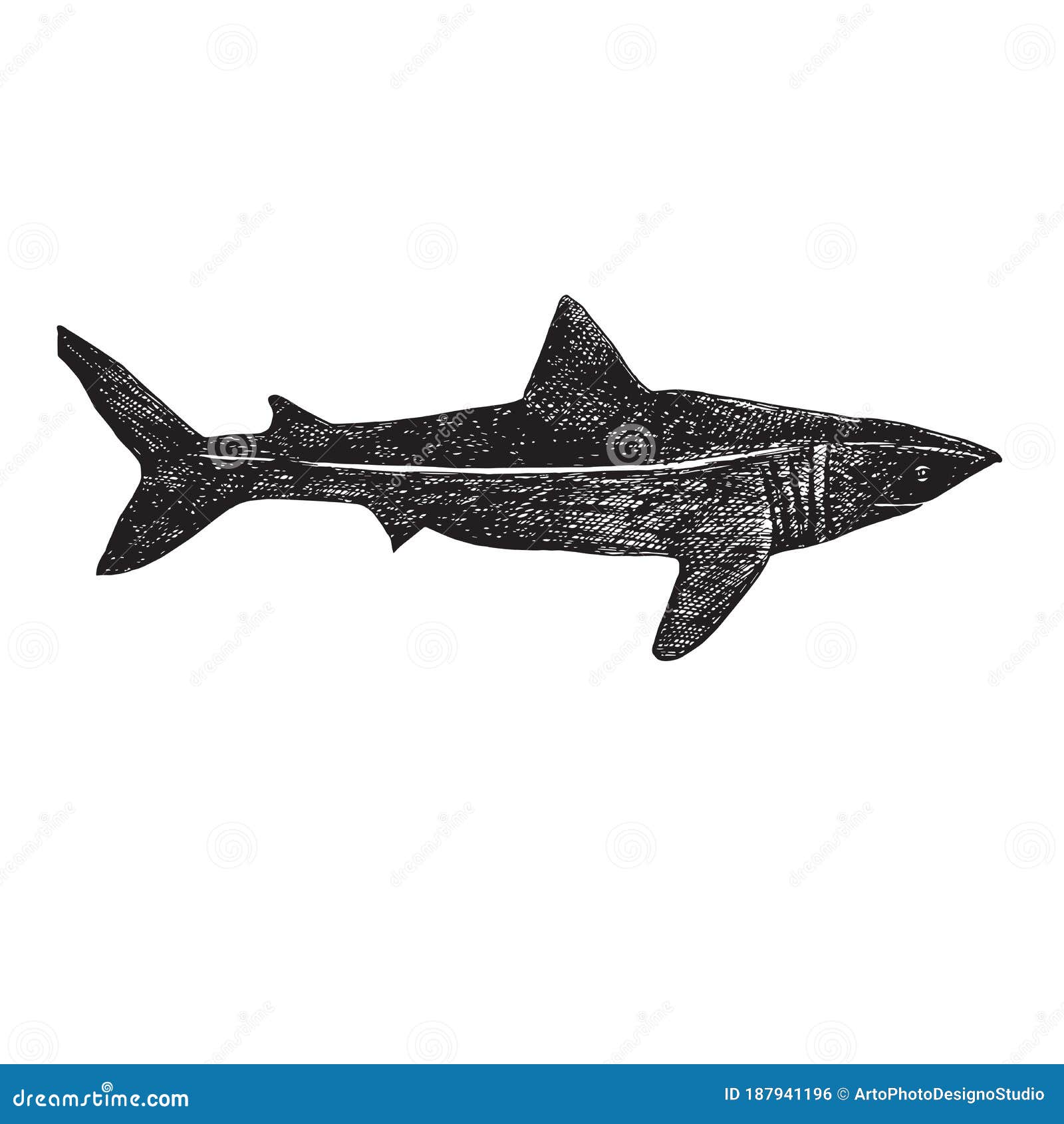 Download Whale Shark, Hand Drawn Doodle, Sketch, Vector Outline ...