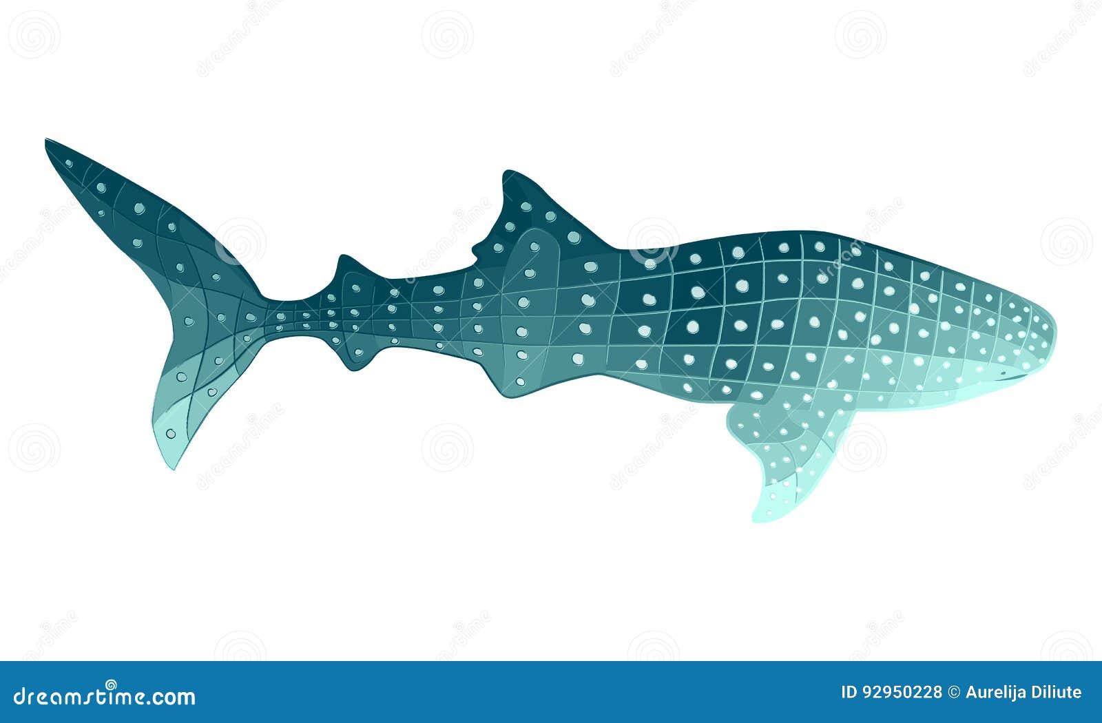Free Free 310 Whale Shark Svg SVG PNG EPS DXF File