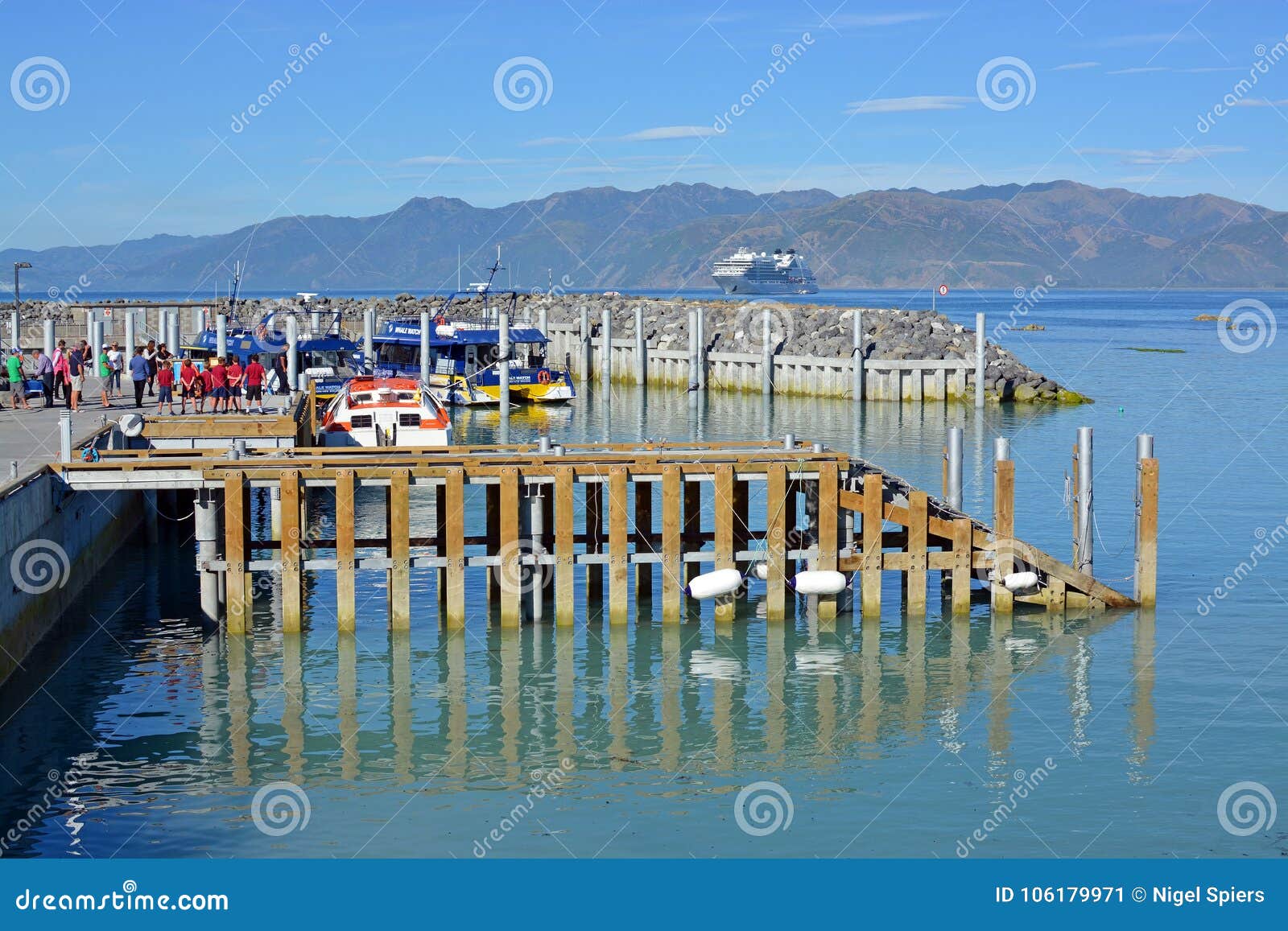 Whale Watch Kaikoura New Zealand Boats Open For Business Editorial