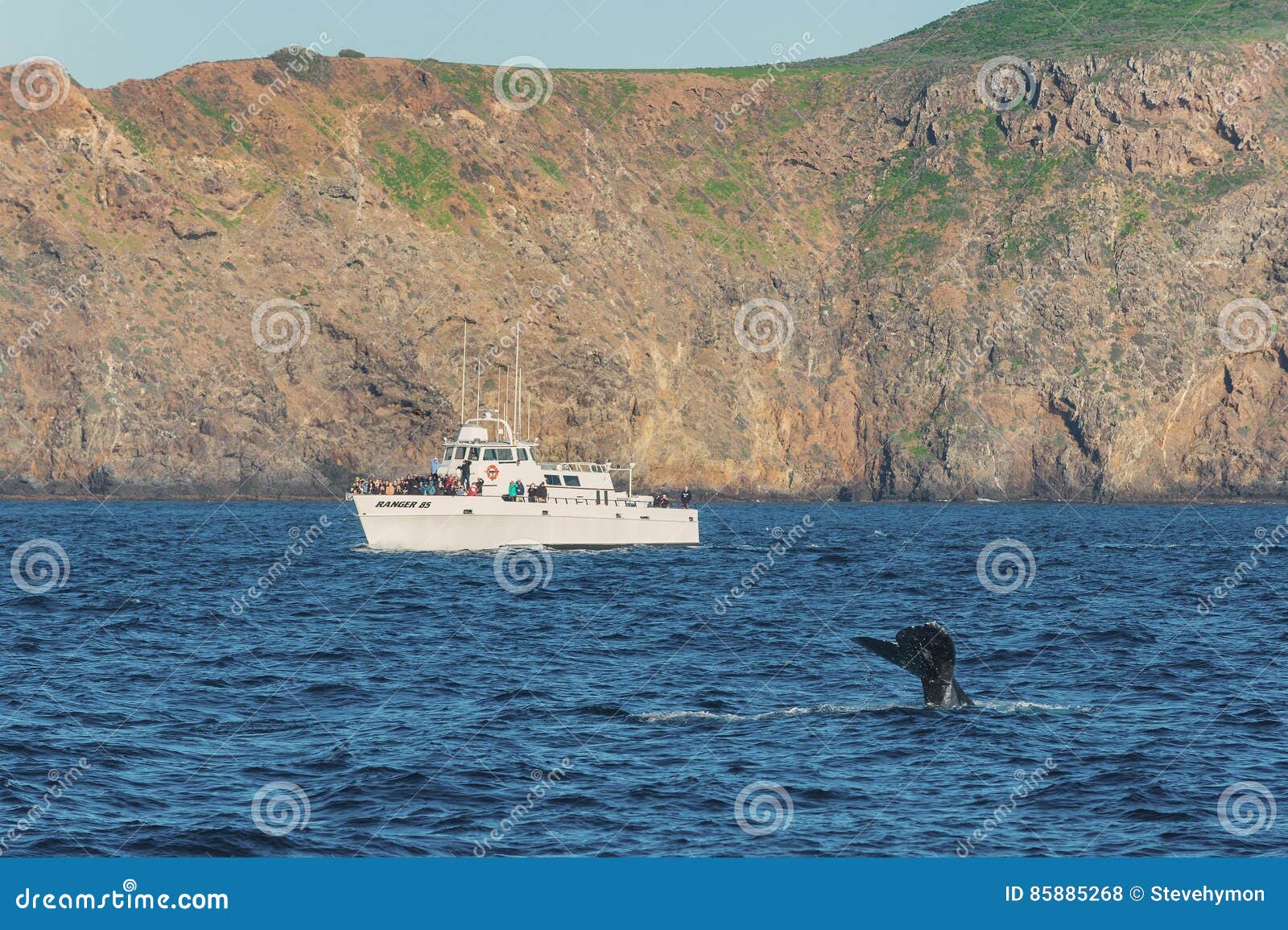 Whale Watching, Channel Islands National Park Editorial Stock Photo