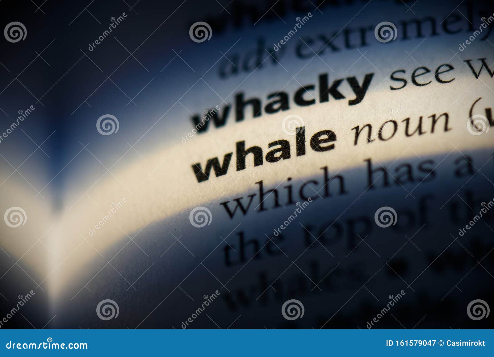 Whale stock image. Image of idea, reference, whale, definition 161579047