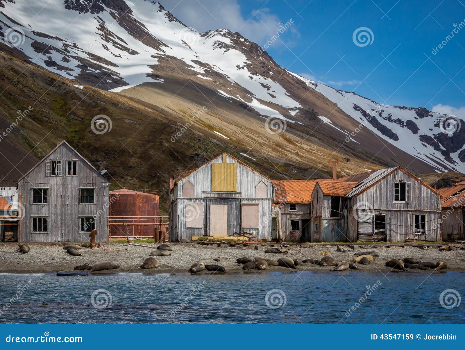 whaling village abandoned after all the whales were killed in 1920's