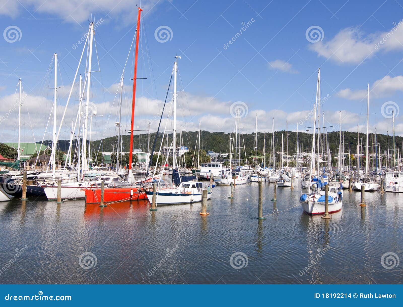 Whangarei Town Basin - NZ stock photo. Image of wharf - 18192214