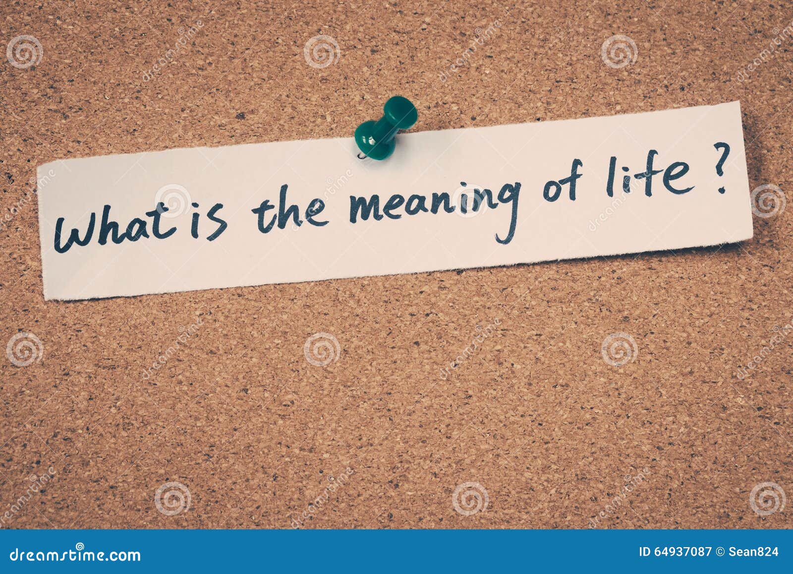 What is the Meaning of Life? Stock Image - Image of concept, life: 64937087