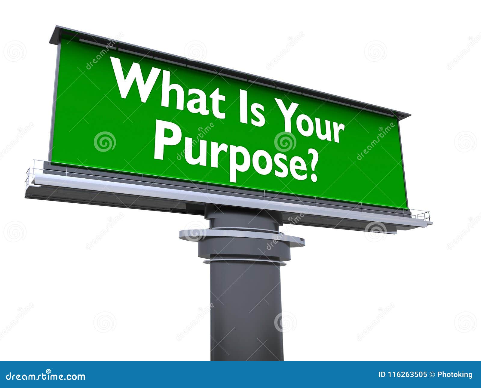 what is your purpose