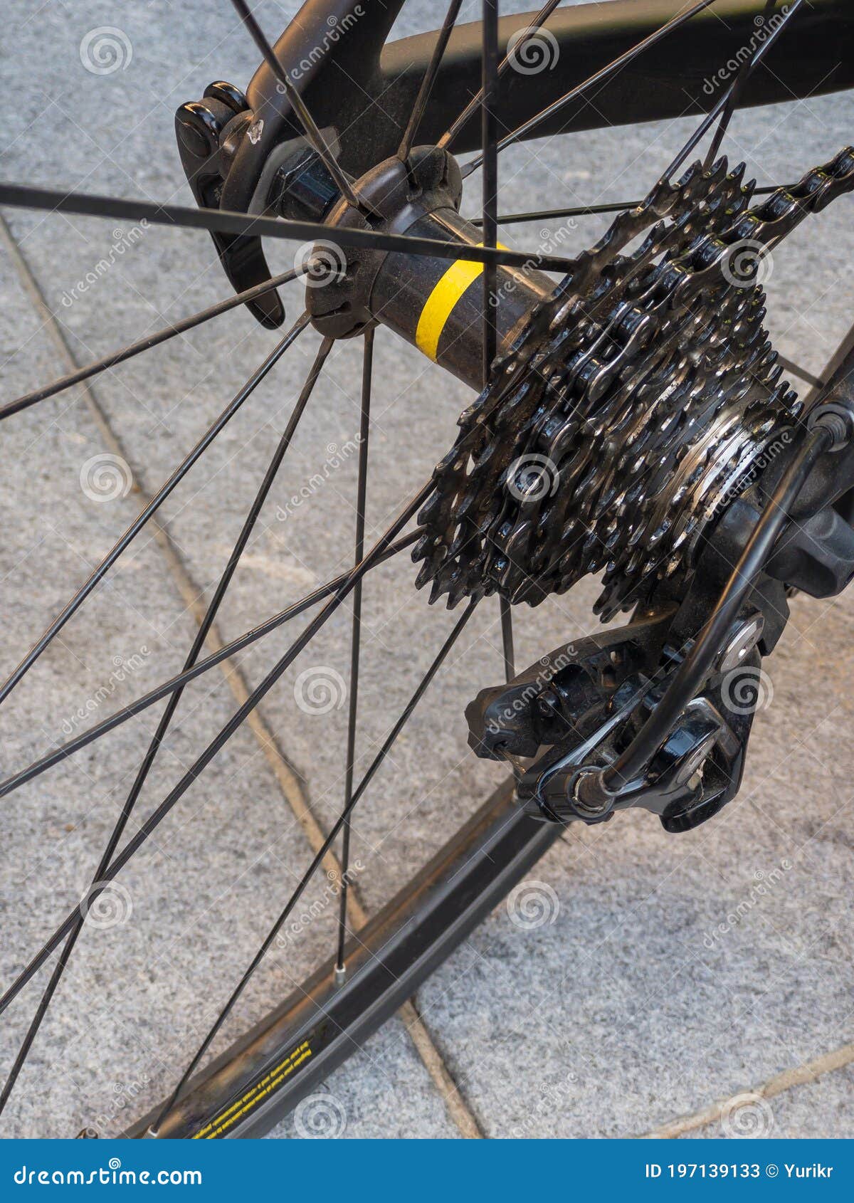 Wheal of Racing Bicycle with Cogset Cassete Installed Stock Image