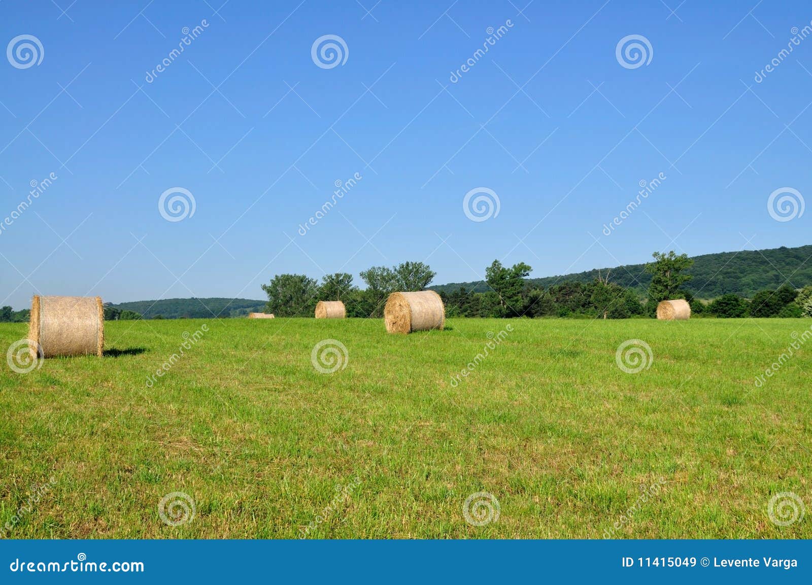 Wheat bale. stock image. Image of fresh, spring, summer 11415049