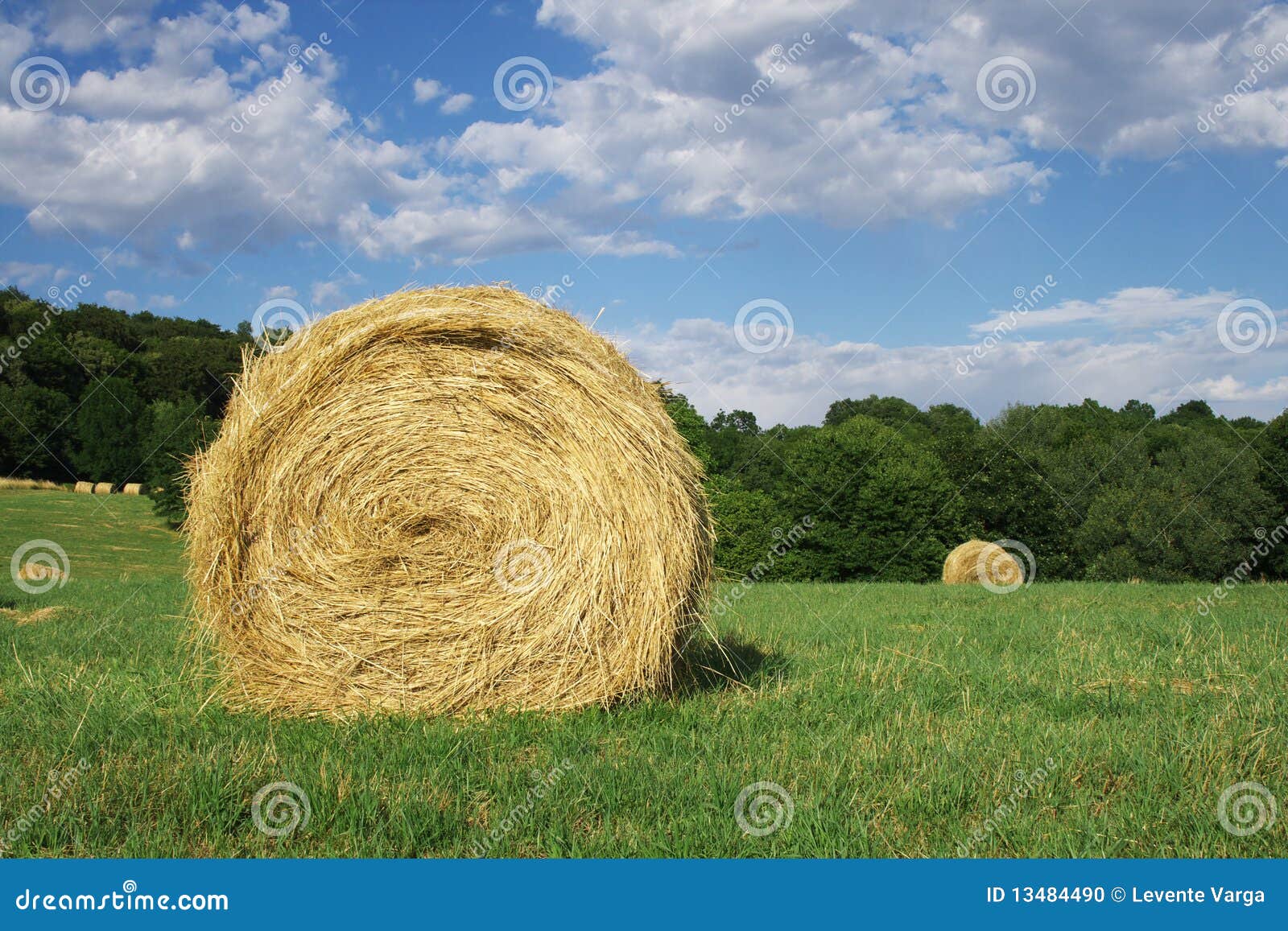 Wheat bale. stock photo. Image of forage, agriculture 13484490