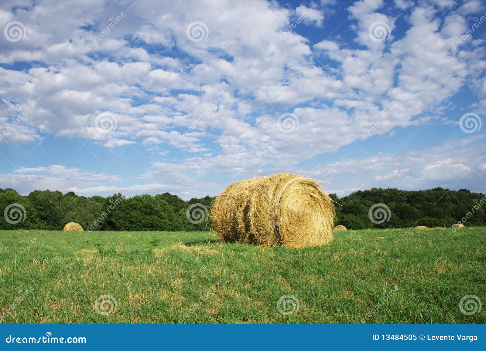 Wheat bale. stock image. Image of grass, cereal, wheat 13484505
