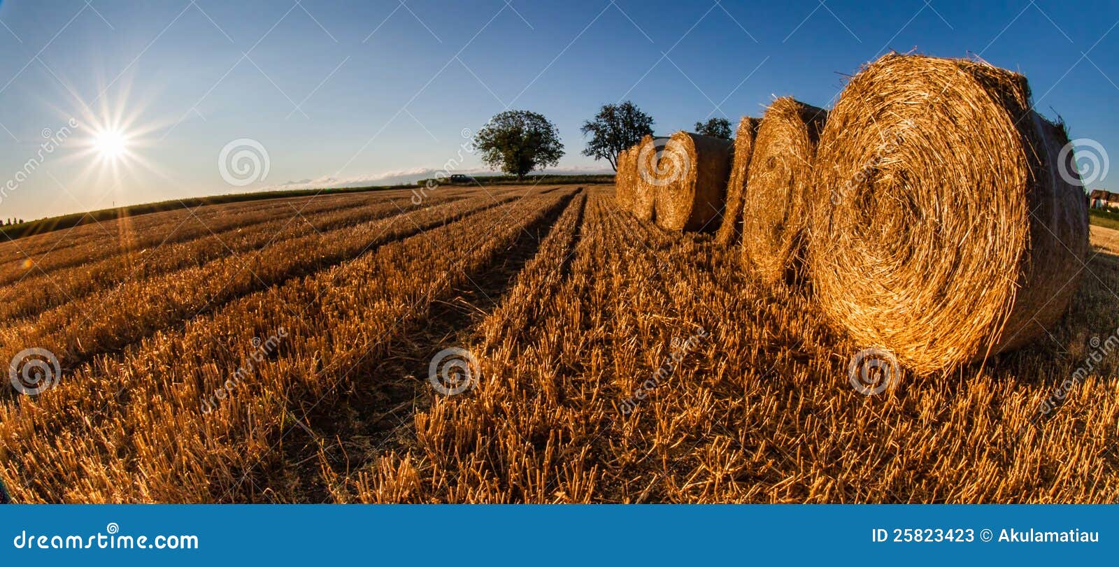 Wheat Bale IV stock image. Image of natural, season, outdoor 25823423