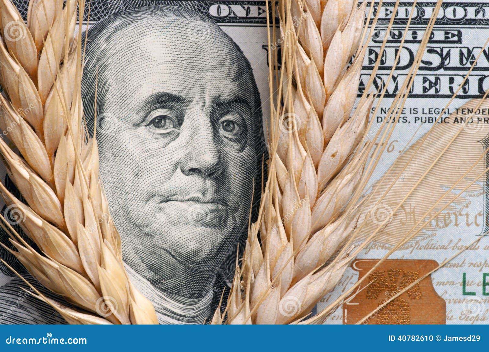 Wheat on bank note stock photo. Image of trade, season 40782610