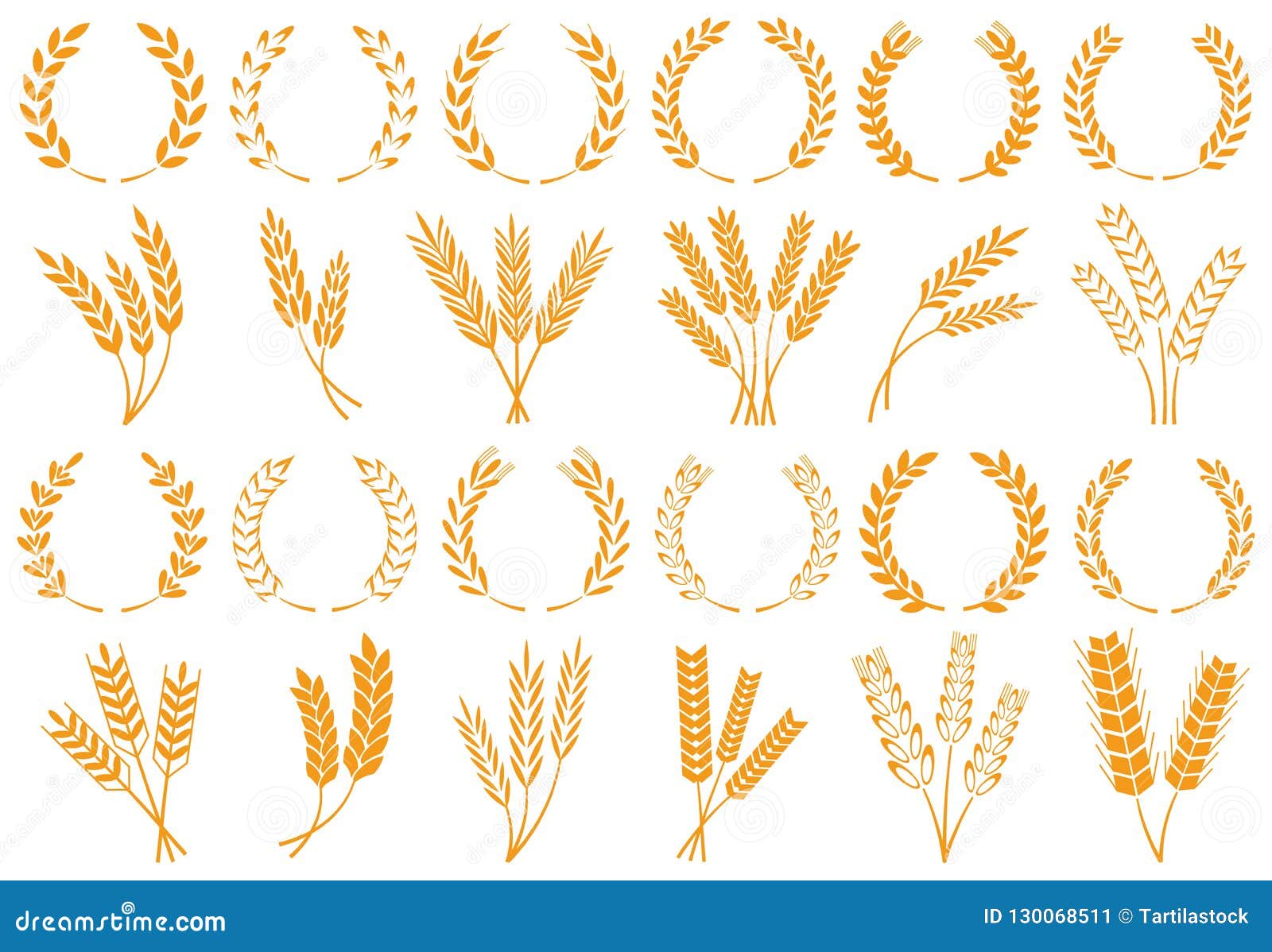 wheat or barley ears. harvest wheat grain, growth rice stalk and bread grains   set