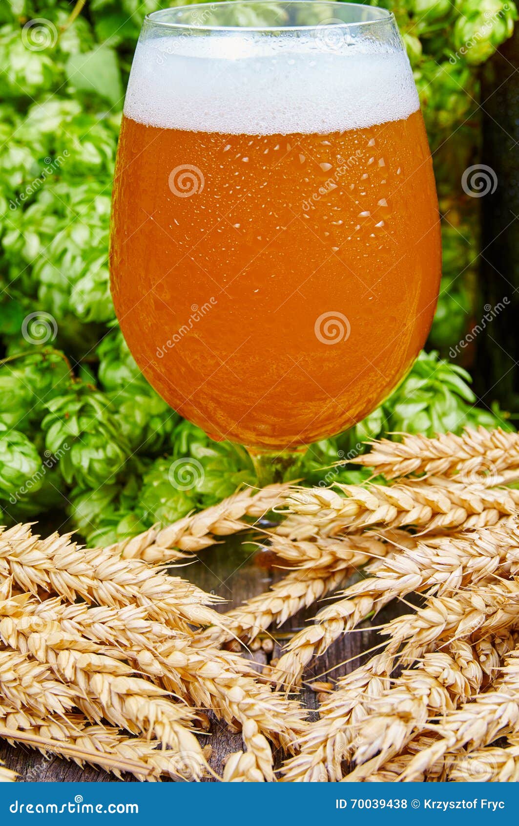 Wheat beer in glass stock photo. Image of alcohol, dewy 70039438
