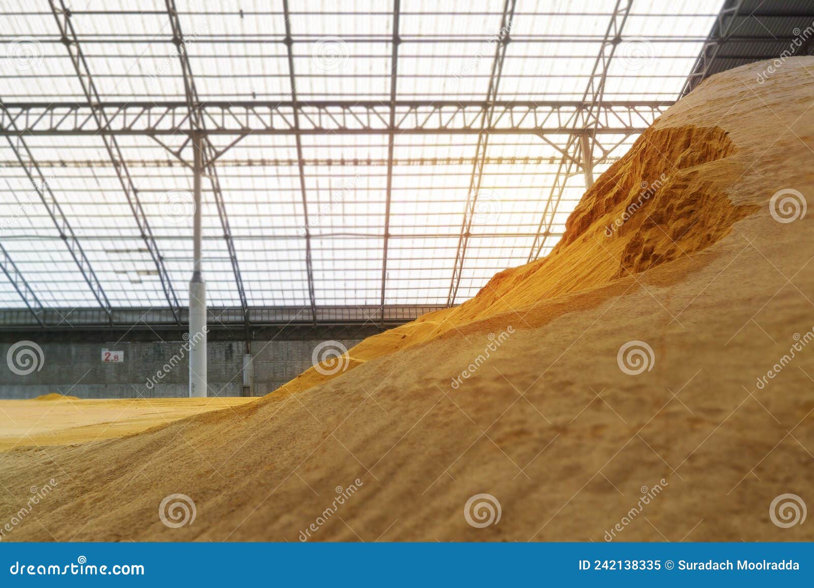 Wheat at Bulk Cargo Warehouse Storage for Animal Feed Industry Stock Image Image of factory