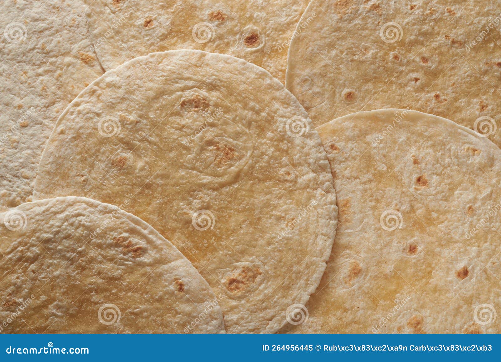 Wheat or Corn Mexican Tortillas for Tacos Stock Image Image of taco