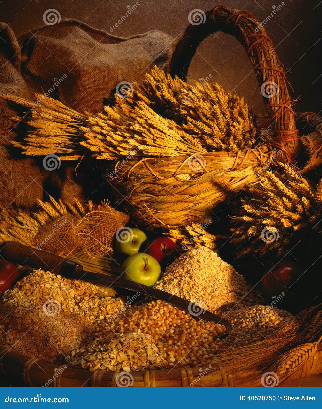 Wheat Corn Oats stock photo. Image of sacks, harvest 40520750