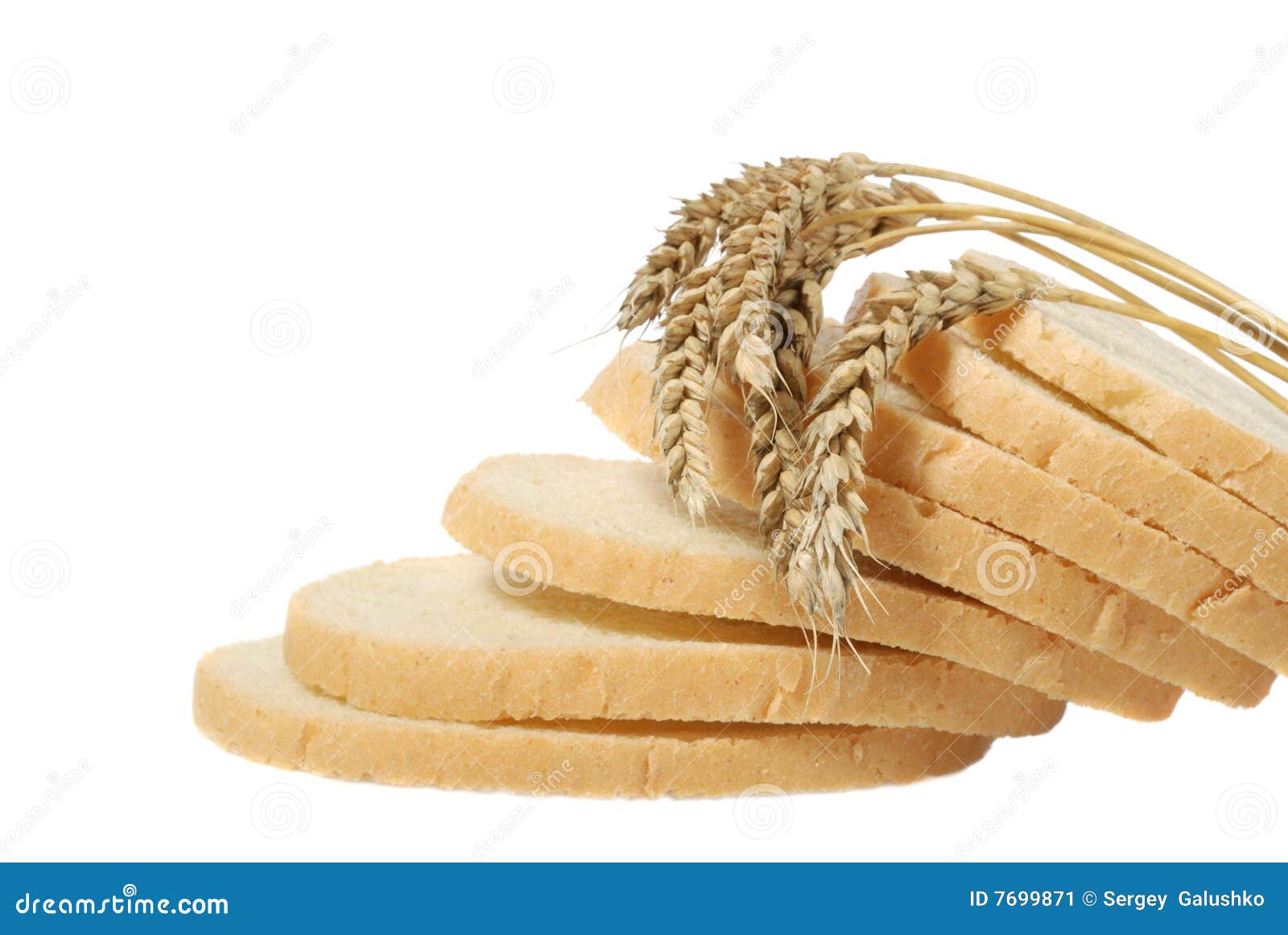 Wheat and cut bread stock image. Image of isolated, growth 7699871