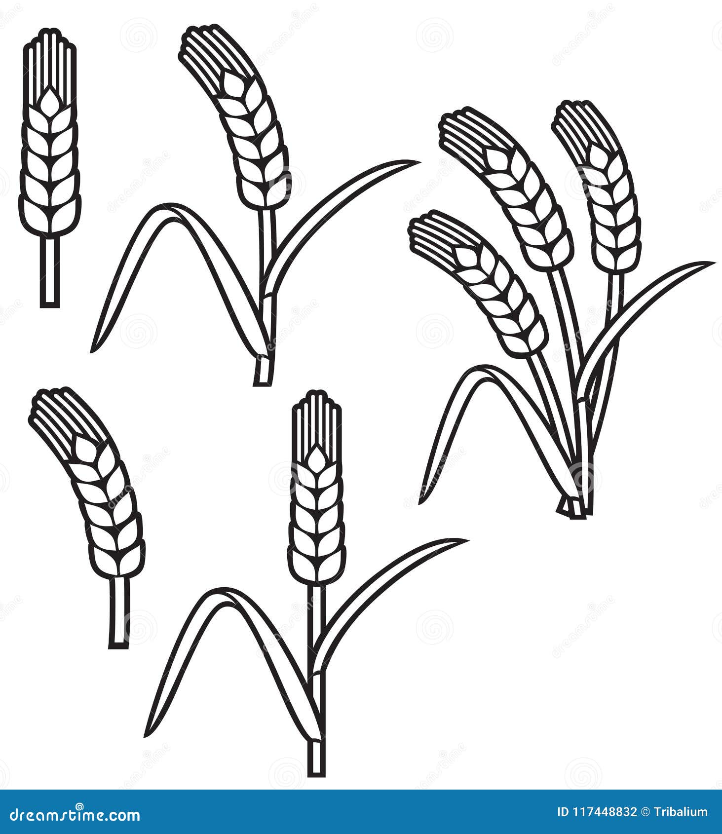 Simple hand-drawn vector drawing in black outline. Wheat spikelet isolated  on white background. Cereals, farm crops, flour products, baked goods. For  prints, packaging, logo. Stock Vector | Adobe Stock