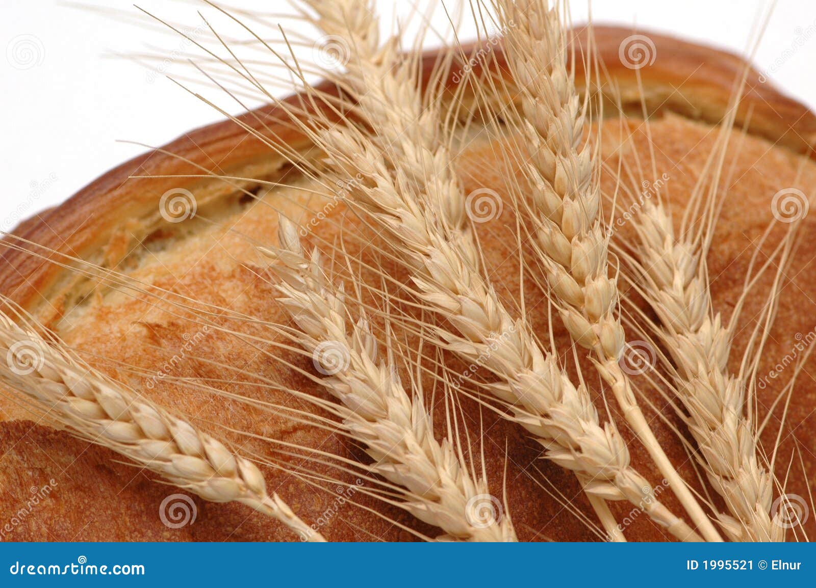 Wheat Ears and Bread Loaf Isol Stock Image Image of growth, ears 1995521