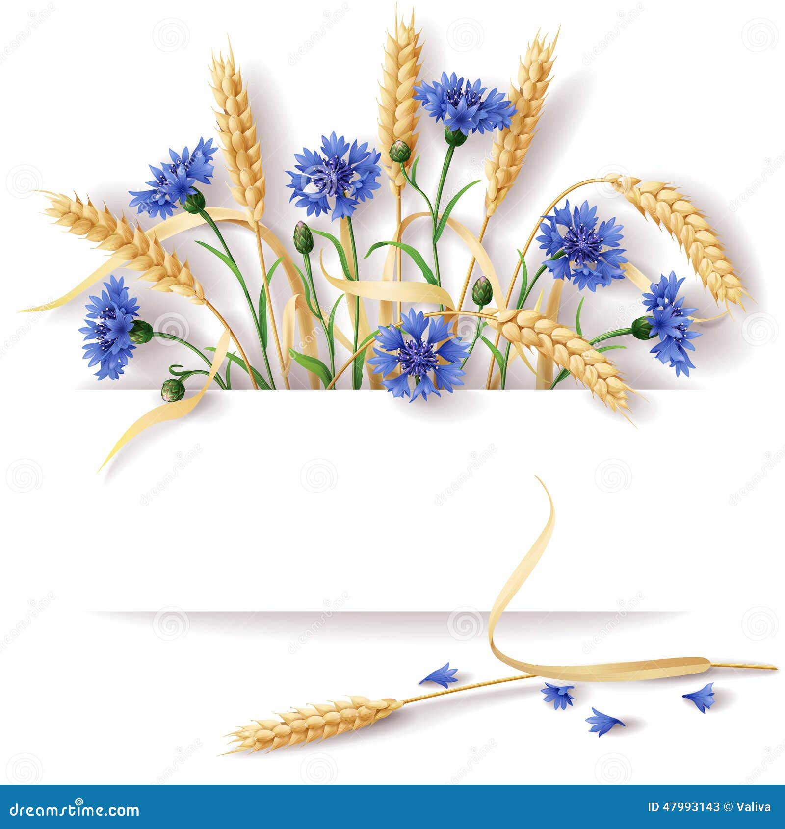 wheat ears and cornflowers