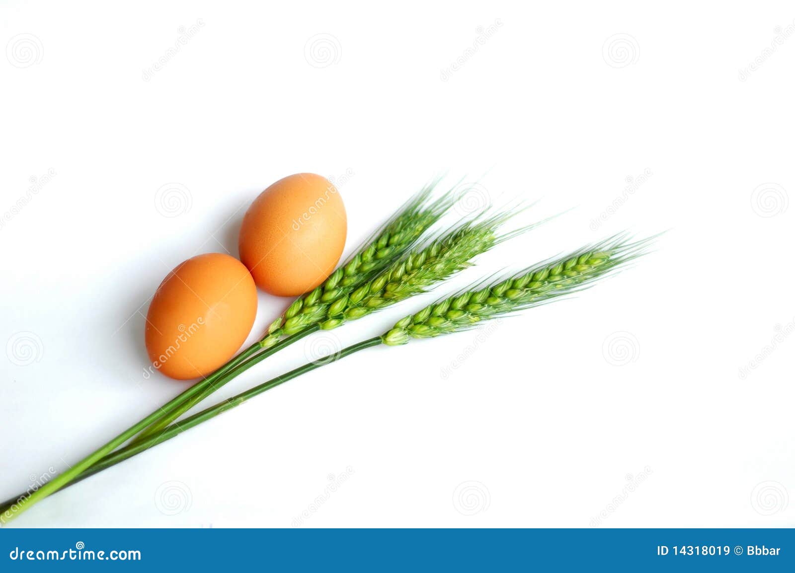 Wheat and eggs stock image. Image of healthy, breakfast 14318019