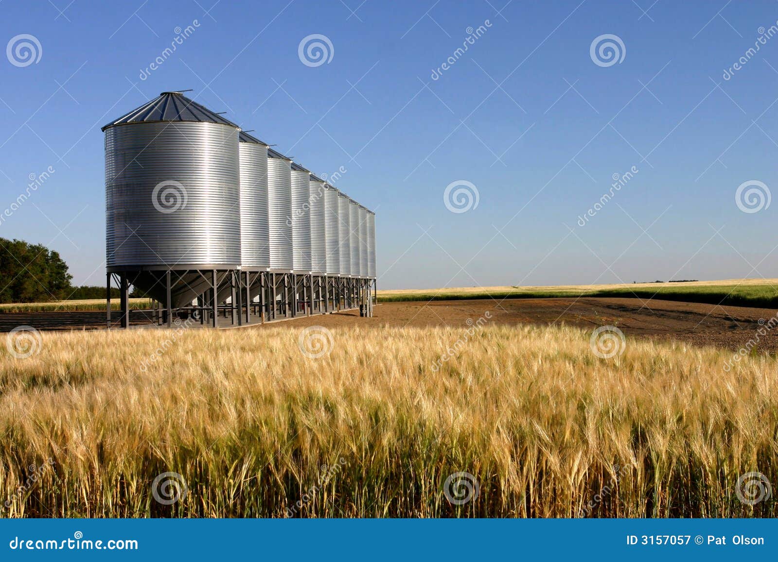 Wheat Field & Granaries Stock Image - Image of grain, wheat: 3157057