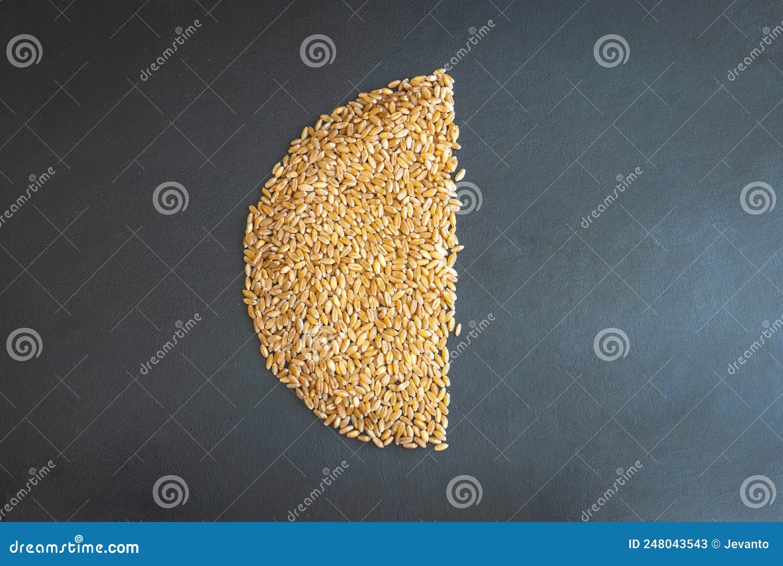 Wheat Grain Chart Pie Shape Concept Flat Overhead View Stock Image