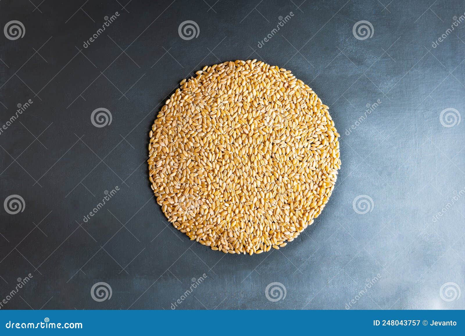 Wheat Grain Chart Pie Shape Concept Flat Overhead View Stock Image