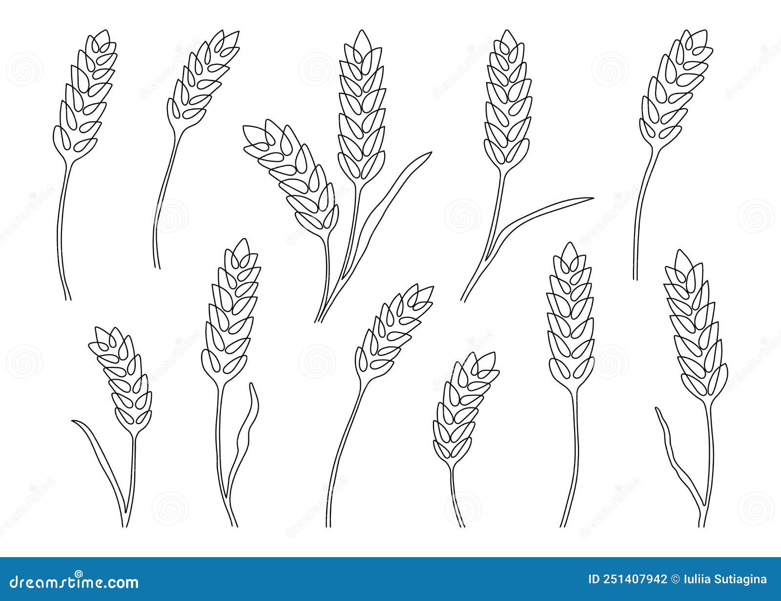 Drawings of Grains | Wheat Tattoo, Hand-drawn Illustration