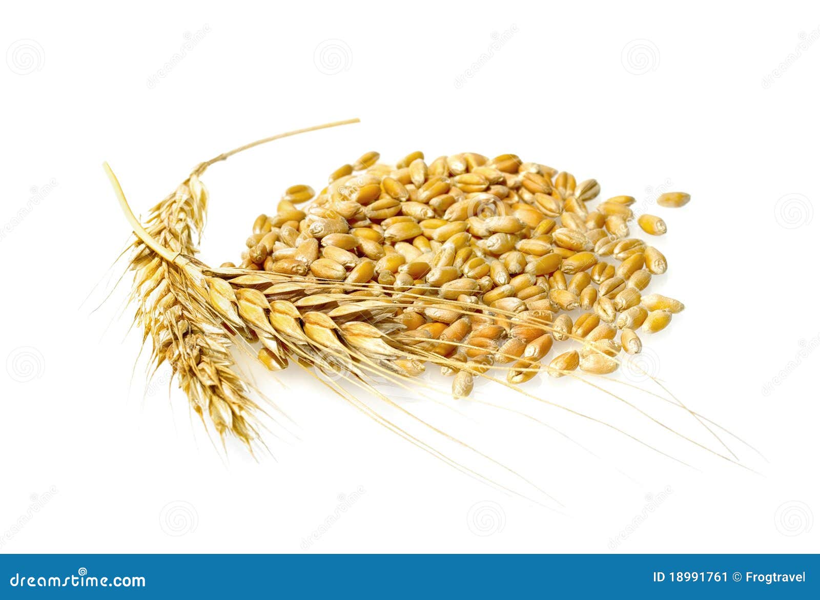 wheat grains