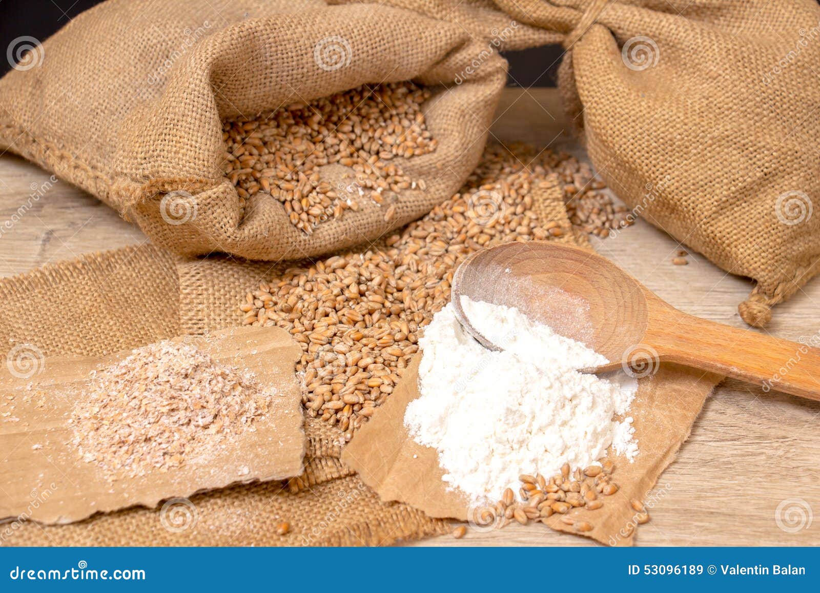 Wheat Grains, Bran and Flour. Stock Image Image of uncooked, corn