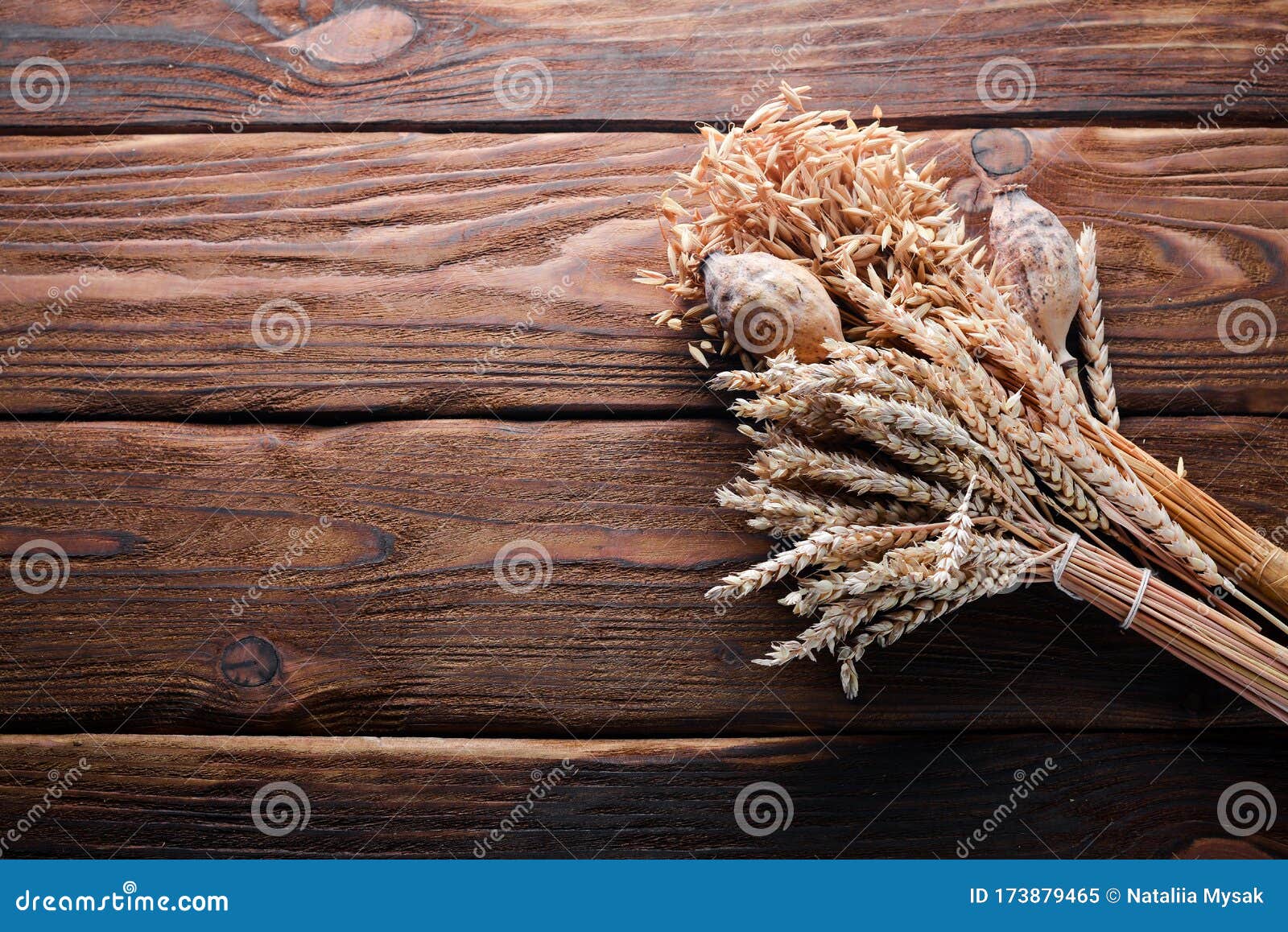 Wheat, Oats, Corn. on a Wooden Surface Stock Image Image of barley