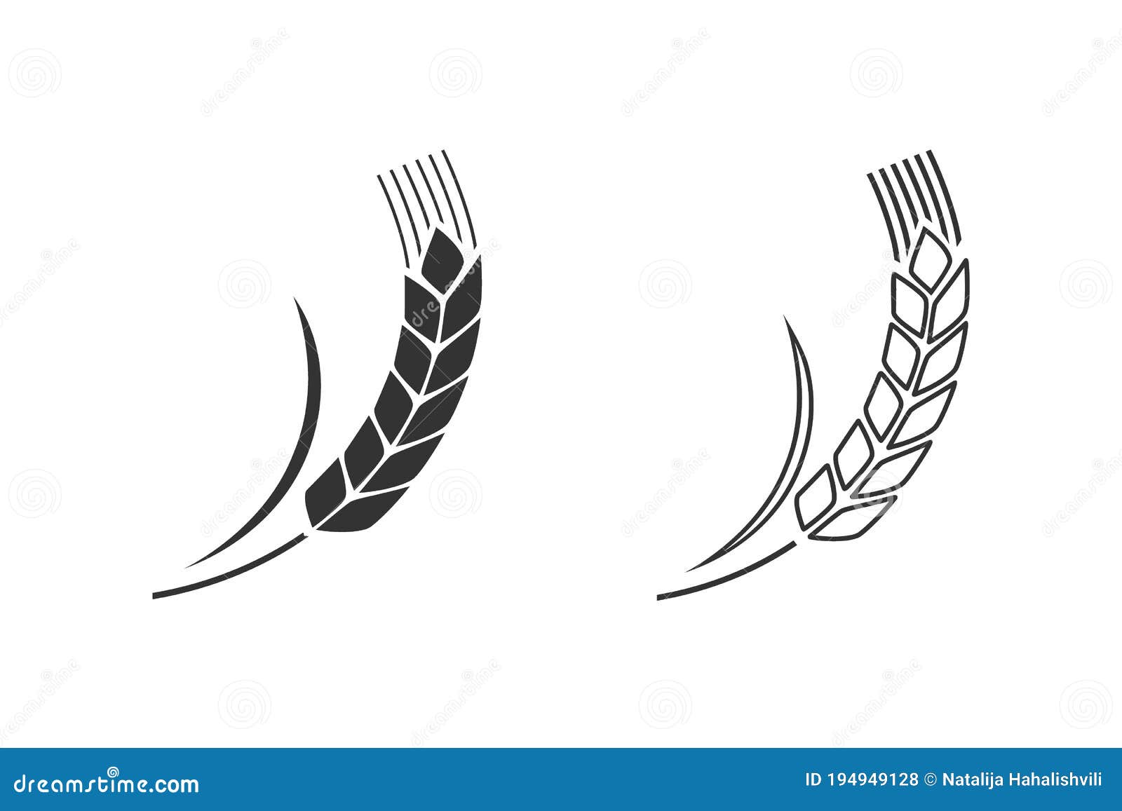 wheat spike  on white background. grain plant silhouette. spica line icon set.