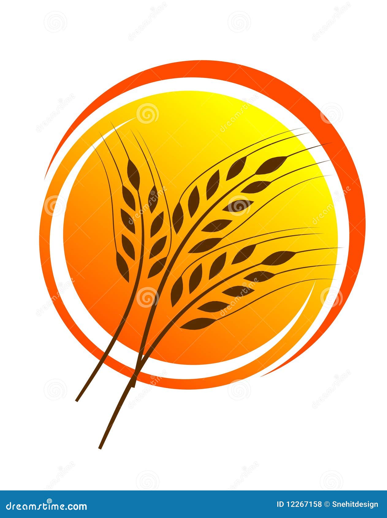 Wheat straw illustrtion stock illustration. Illustration of clipart 12267158