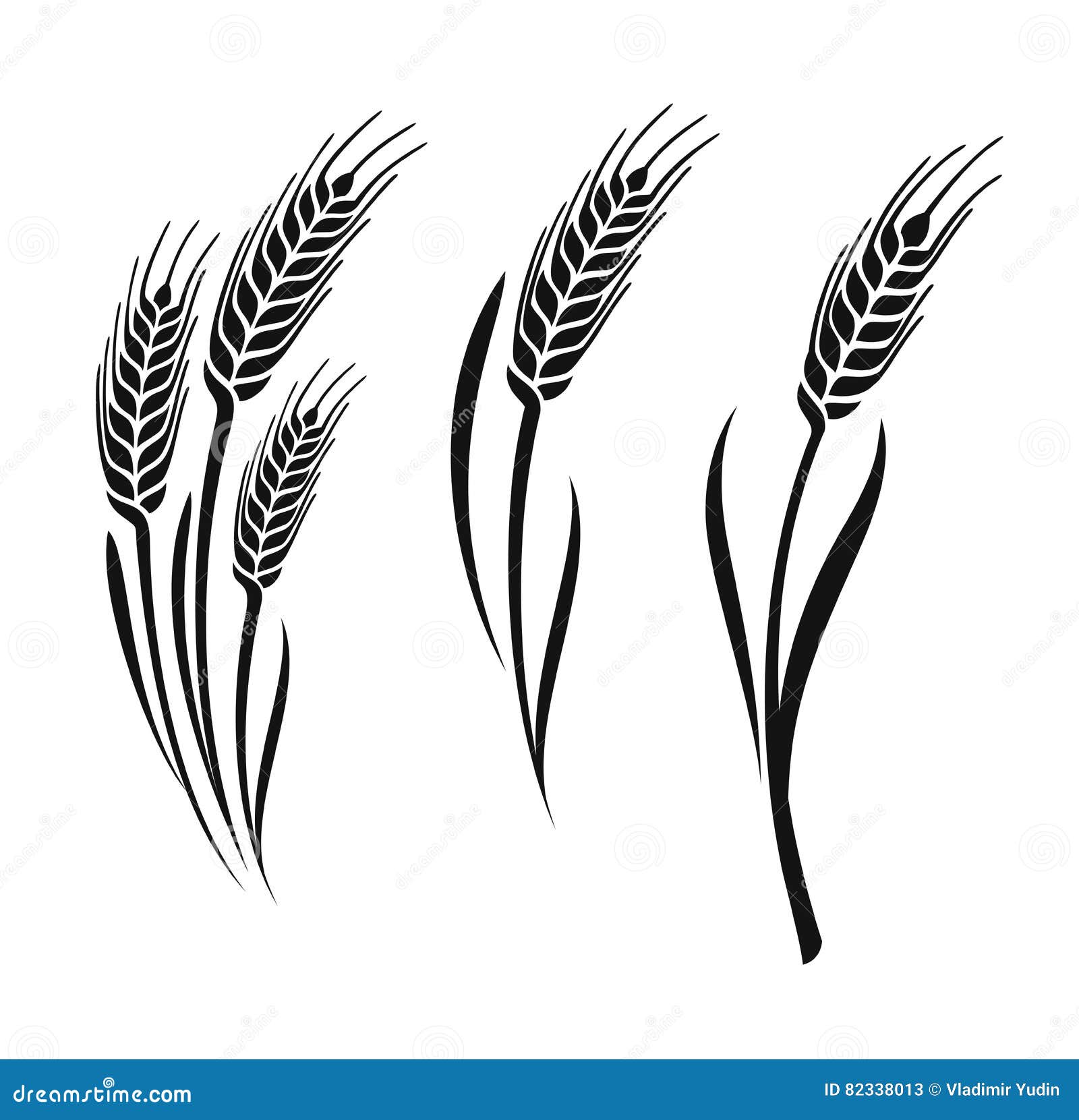 wheat  ears