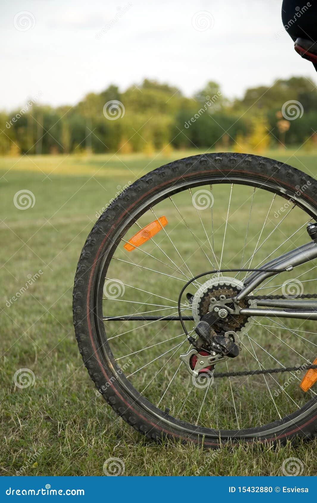 Wheel of Bike on Nature Background Stock Photo Image of sport, field